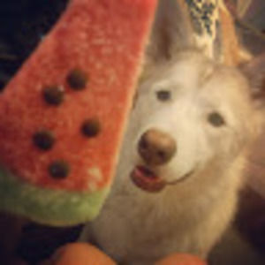 Meet your Posher, Youme